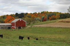 Nowe dofinansowanie dla rolników do fotowoltaiki (PROW)