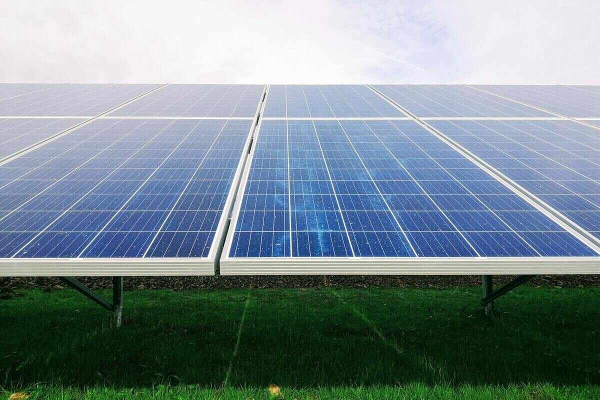 Agrowoltaika - sposób na oszczędność terenu