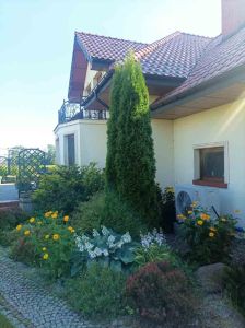 Pompy_Rotenso_Energia_Taniej-154