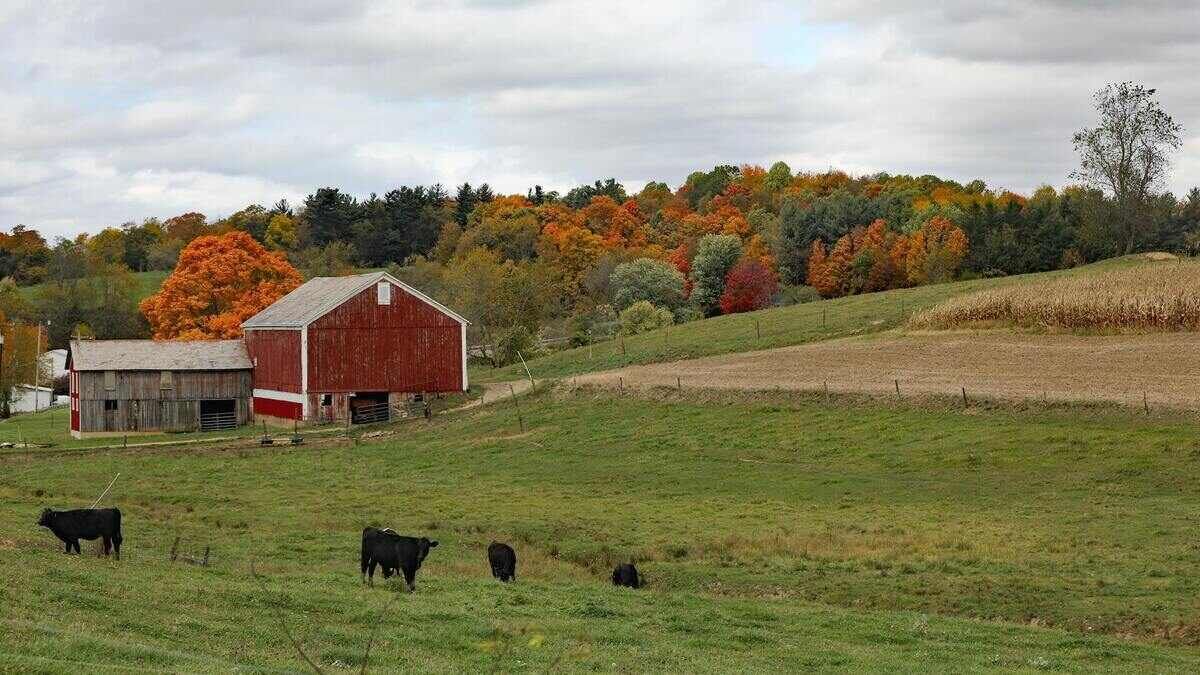 Nowe dofinansowanie dla rolników do fotowoltaiki (PROW)